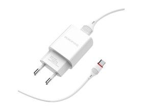 Зарядное устройство Borofone Type-C